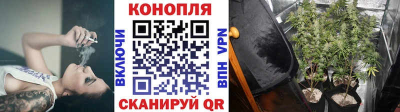 Какие есть наркотики Новоаннинский ГАШИШ A PVP НБОМе кракен как войти МЕФ Бошки Шишки