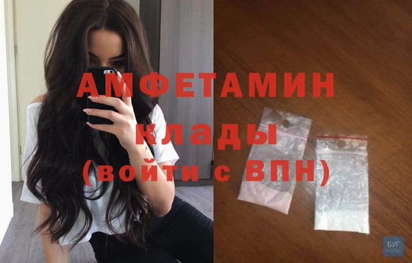 стаф Балахна