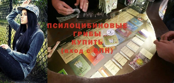стаф Сосновка