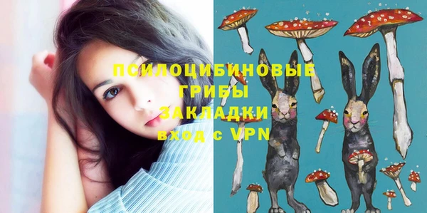 стаф Балахна