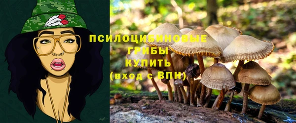стаф Балахна